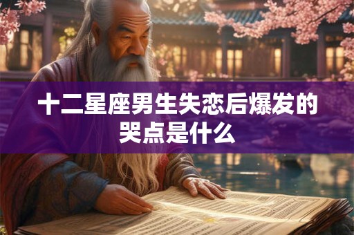 十二星座男生失恋后爆发的哭点是什么