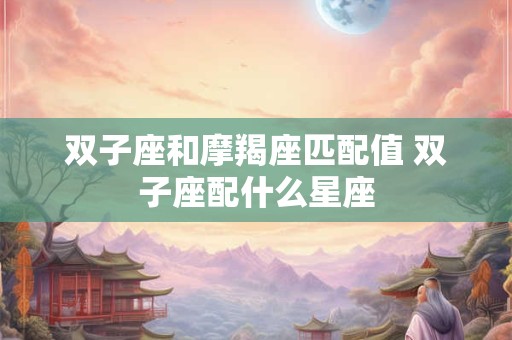 双子座和摩羯座匹配值 双子座配什么星座