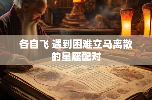 各自飞 遇到困难立马离散的星座配对