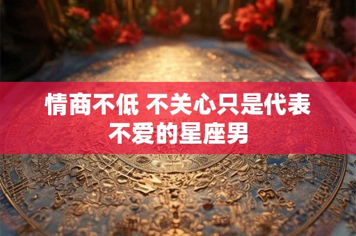情商不低 不关心只是代表不爱的星座男