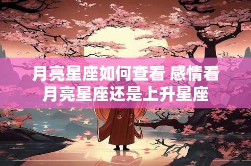 月亮星座如何查看 感情看月亮星座还是上升星座