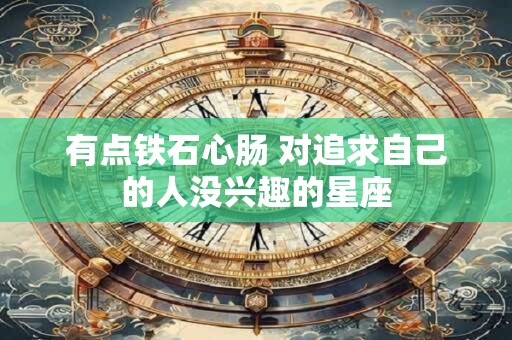 有点铁石心肠 对追求自己的人没兴趣的星座