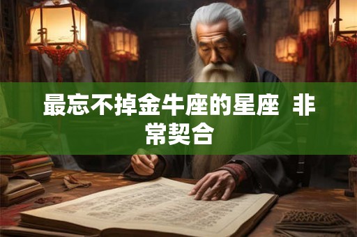 最忘不掉金牛座的星座  非常契合