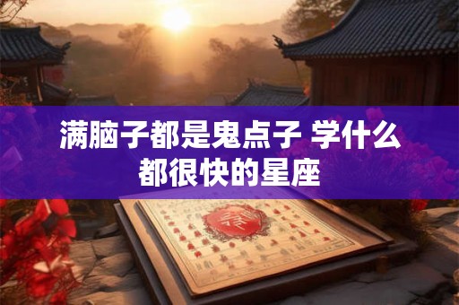 满脑子都是鬼点子 学什么都很快的星座