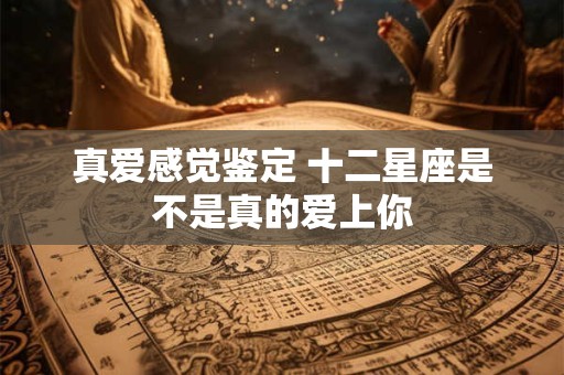 真爱感觉鉴定 十二星座是不是真的爱上你
