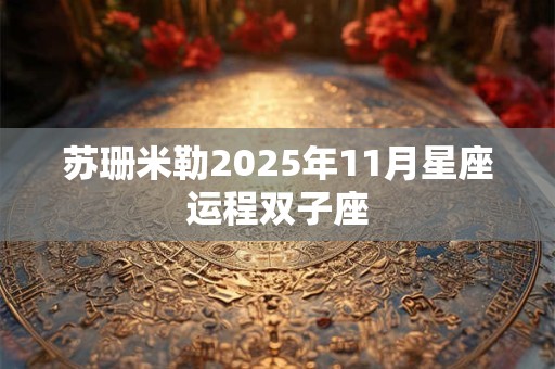 苏珊米勒2025年11月星座运程双子座