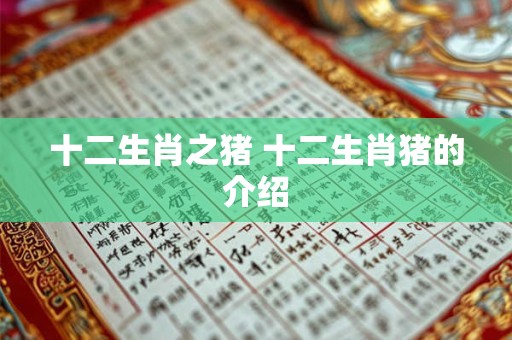 十二生肖之猪 十二生肖猪的介绍