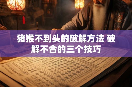 猪猴不到头的破解方法 破解不合的三个技巧