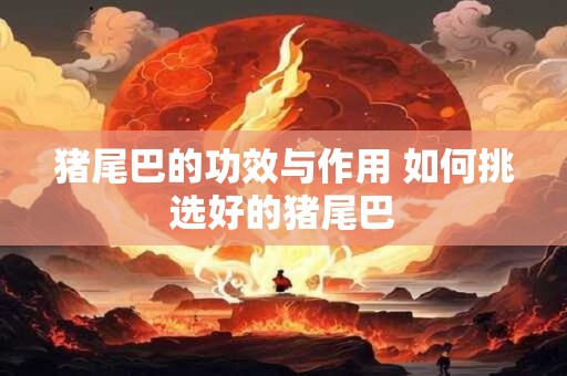 猪尾巴的功效与作用 如何挑选好的猪尾巴