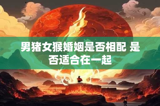 男猪女猴婚姻是否相配 是否适合在一起