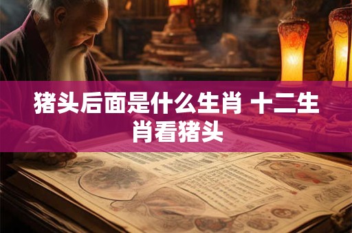 猪头后面是什么生肖 十二生肖看猪头