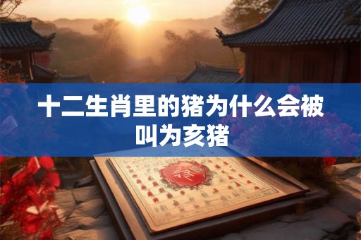 十二生肖里的猪为什么会被叫为亥猪