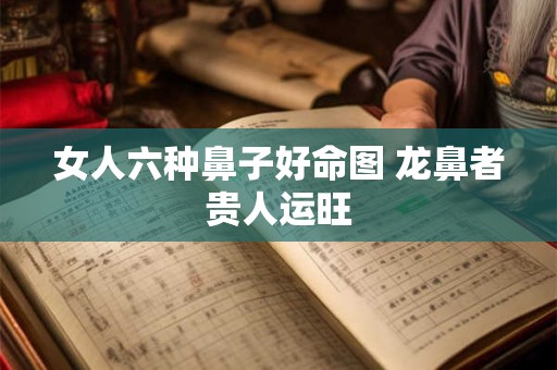 女人六种鼻子好命图 龙鼻者贵人运旺
