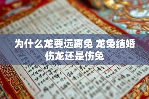 为什么龙要远离兔 龙兔结婚伤龙还是伤兔