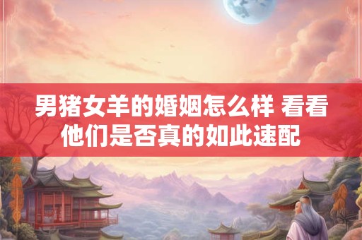 男猪女羊的婚姻怎么样 看看他们是否真的如此速配