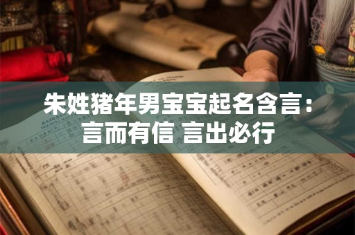 朱姓猪年男宝宝起名含言：言而有信 言出必行