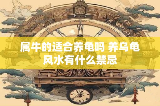 属牛的适合养龟吗 养乌龟风水有什么禁忌