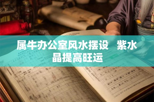 属牛办公室风水摆设   紫水晶提高旺运