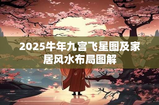 2025牛年九宫飞星图及家居风水布局图解