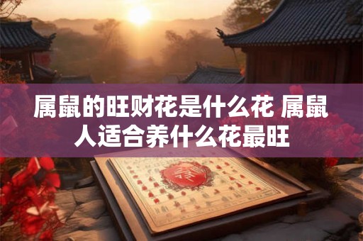 属鼠的旺财花是什么花 属鼠人适合养什么花最旺