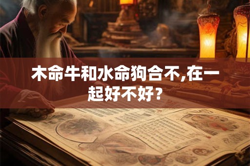 木命牛和水命狗合不,在一起好不好？