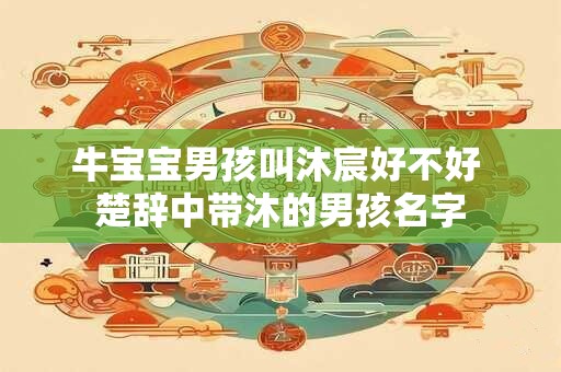 牛宝宝男孩叫沐宸好不好 楚辞中带沐的男孩名字