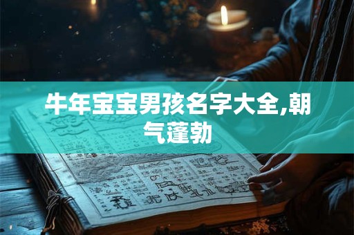 牛年宝宝男孩名字大全,朝气蓬勃
