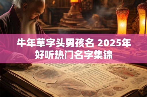 牛年草字头男孩名 2025年好听热门名字集锦