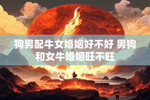 狗男配牛女婚姻好不好 男狗和女牛婚姻旺不旺
