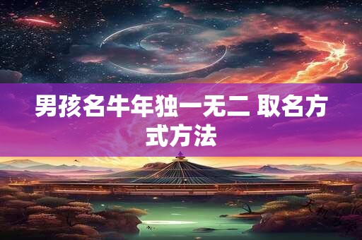 男孩名牛年独一无二 取名方式方法