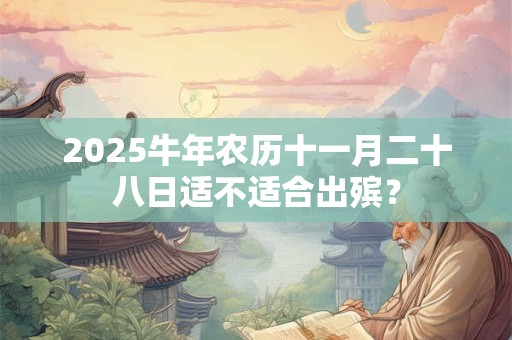 2025牛年农历十一月二十八日适不适合出殡？