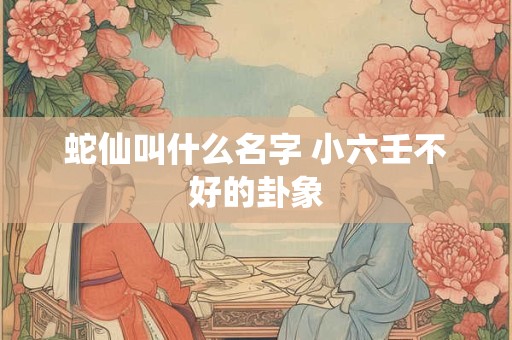 蛇仙叫什么名字 小六壬不好的卦象