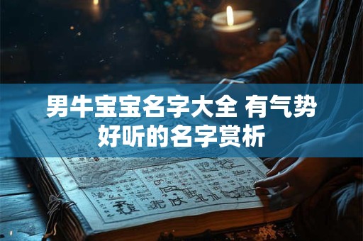 男牛宝宝名字大全 有气势好听的名字赏析