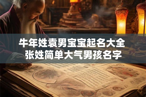 牛年姓袁男宝宝起名大全 张姓简单大气男孩名字