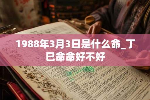 1988年3月3日是什么命_丁巳命命好不好