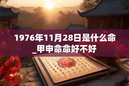 1976年11月28日是什么命_甲申命命好不好