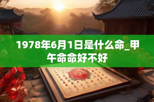 1978年6月1日是什么命_甲午命命好不好