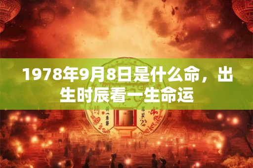 1978年9月8日是什么命，出生时辰看一生命运