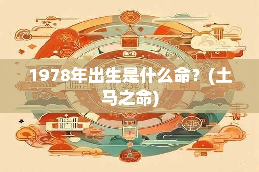 1978年出生是什么命？(土马之命)