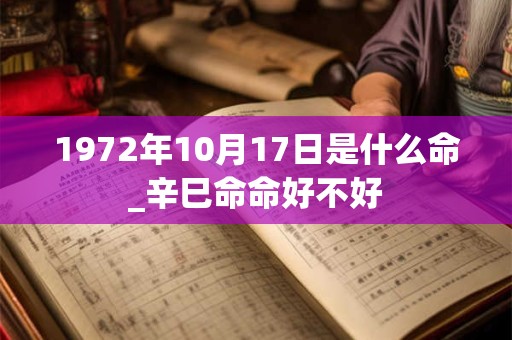 1972年10月17日是什么命_辛巳命命好不好