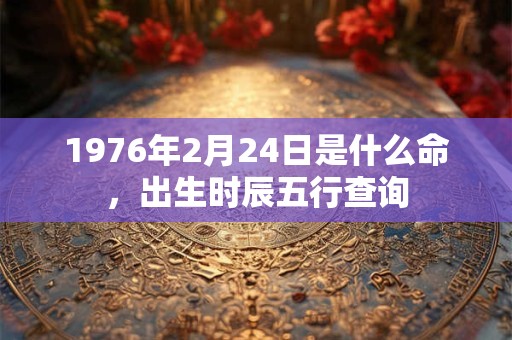 1976年2月24日是什么命，出生时辰五行查询