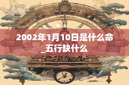 2002年1月10日是什么命_五行缺什么