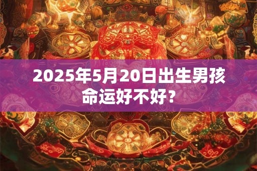 2025年5月20日出生男孩命运好不好？