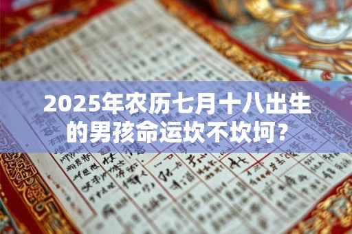 2025年农历七月十八出生的男孩命运坎不坎坷？