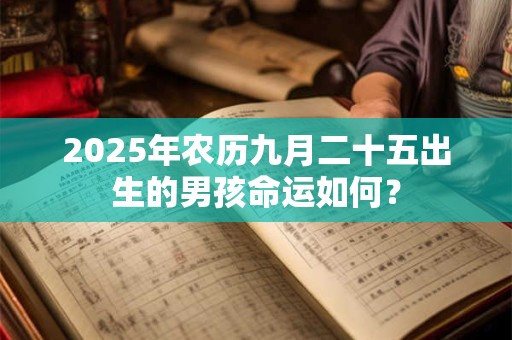 2025年农历九月二十五出生的男孩命运如何？