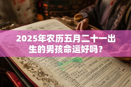 2025年农历五月二十一出生的男孩命运好吗？