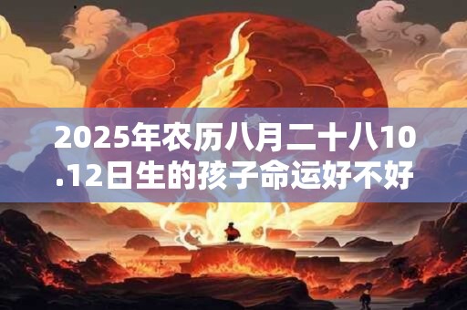 2025年农历八月二十八10.12日生的孩子命运好不好