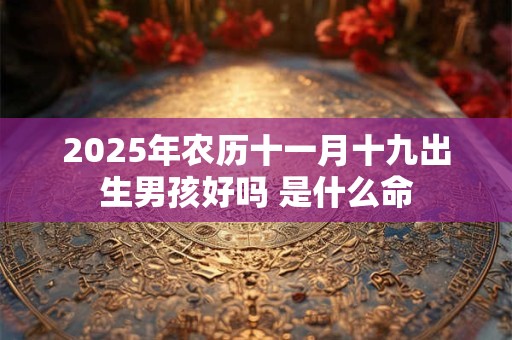 2025年农历十一月十九出生男孩好吗 是什么命