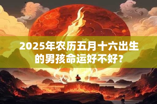 2025年农历五月十六出生的男孩命运好不好？