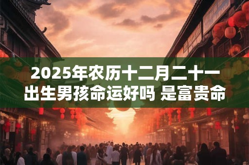 2025年农历十二月二十一出生男孩命运好吗 是富贵命吗
